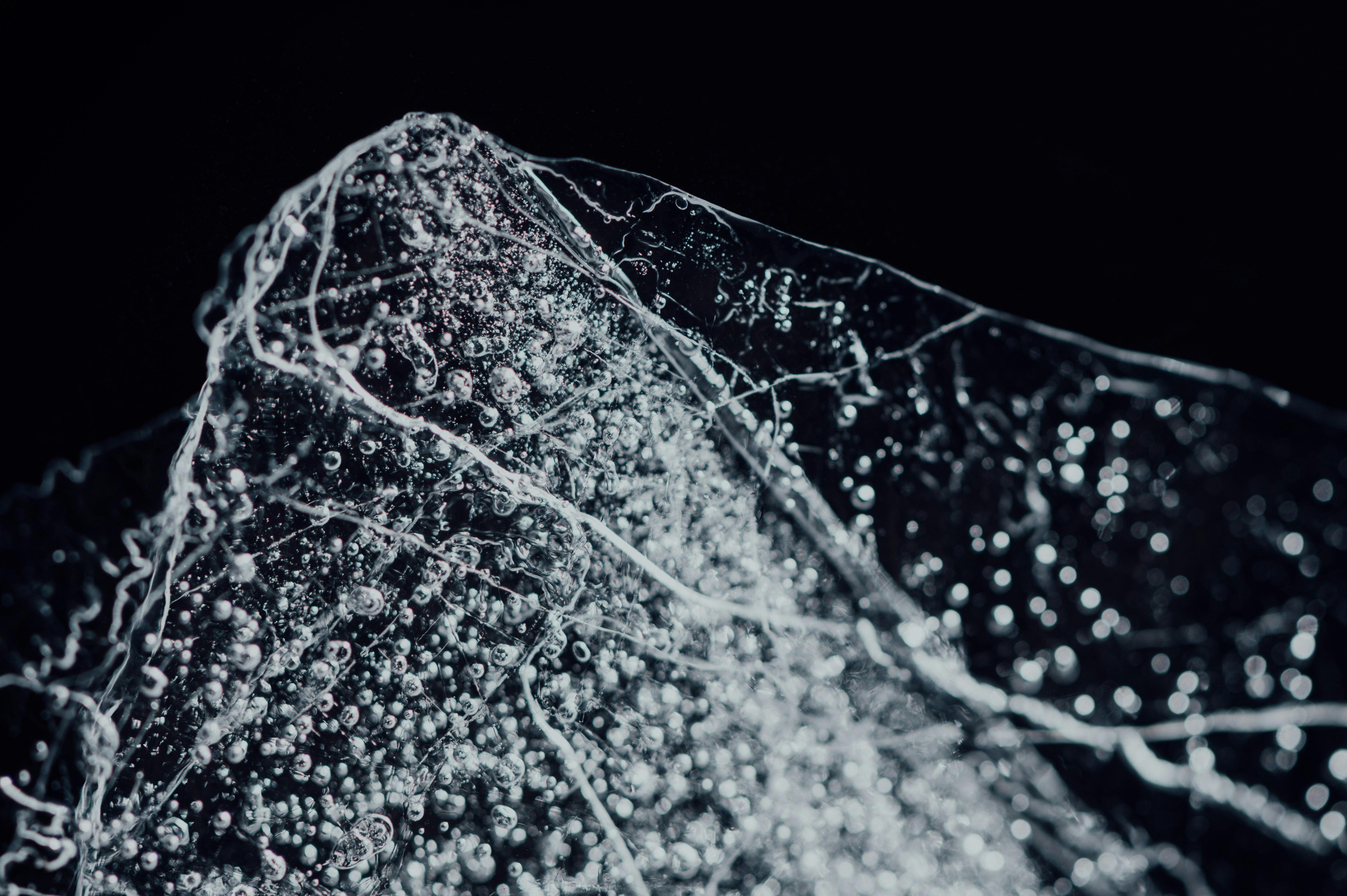 Photo by chuttersnap