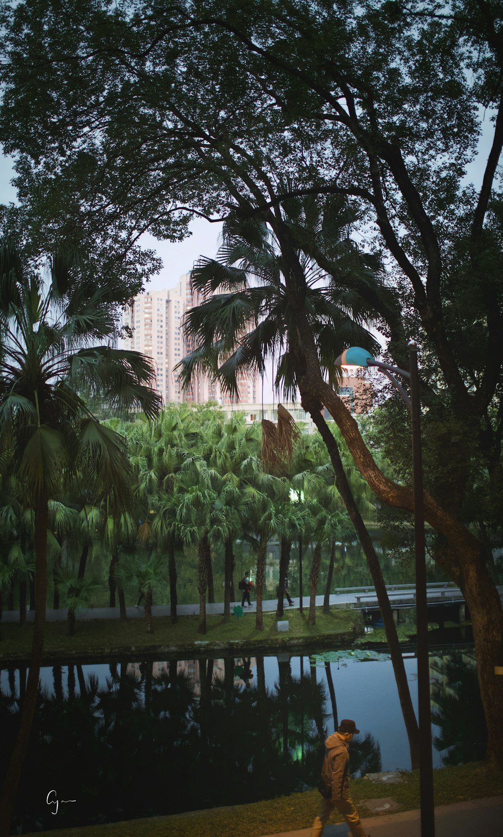 green trees near white concrete building during daytime