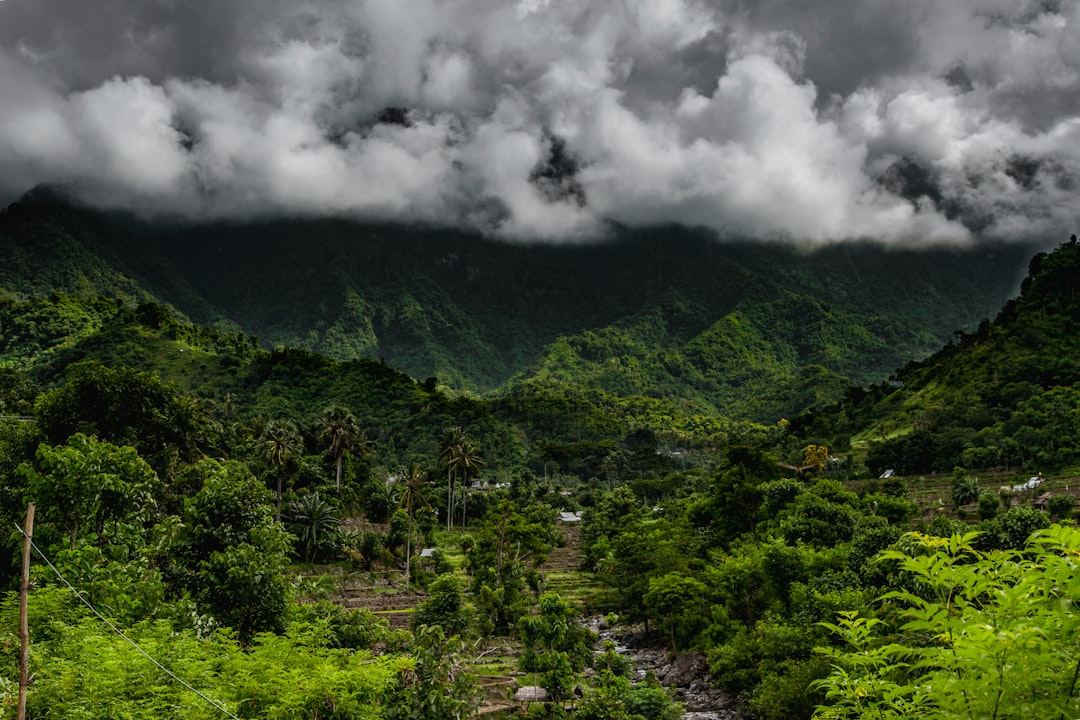 Jungle photo spot Lempuyang Indonesia