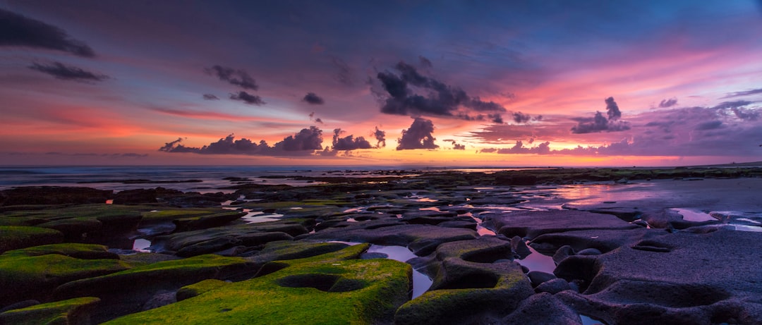 green moss on rocks near body of water during sunset