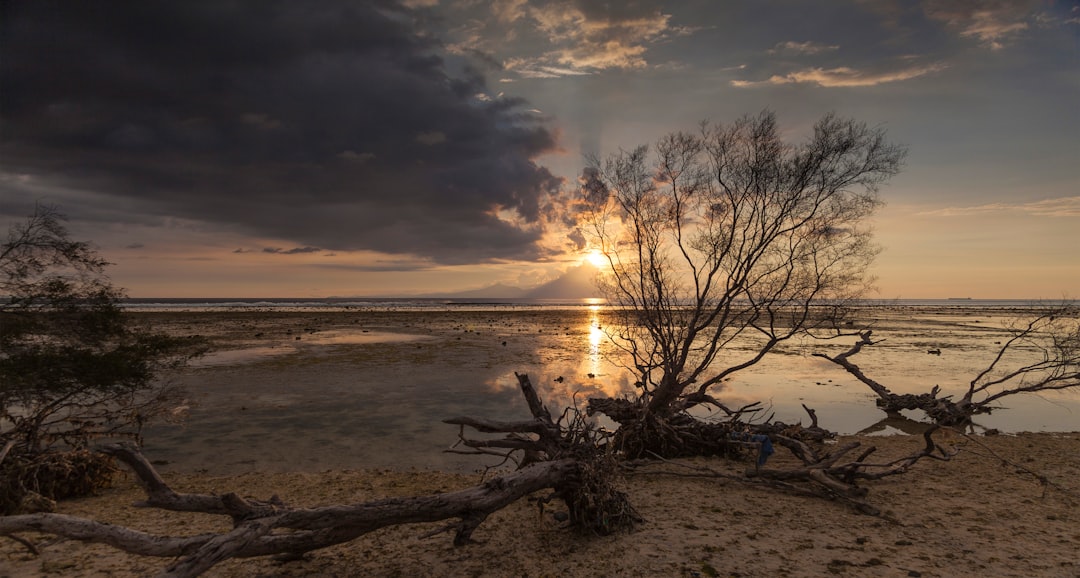 Shore photo spot Gili Trawangan Nusa Penida