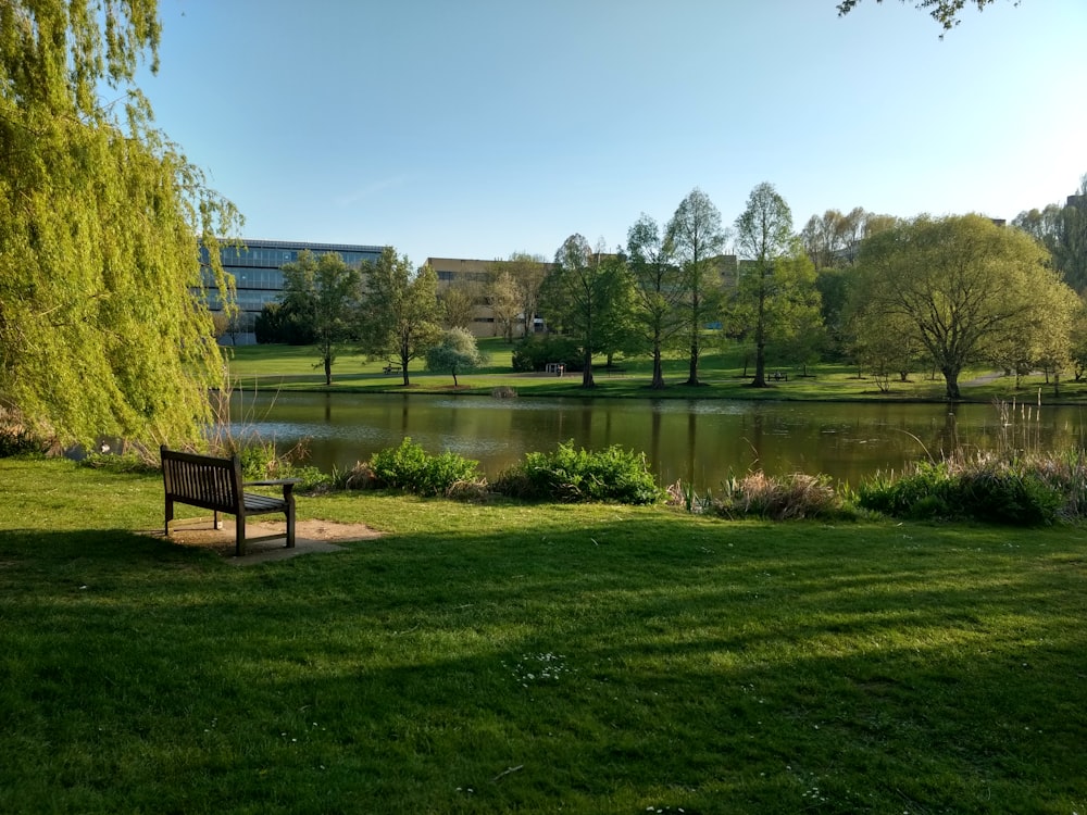 green grass field near lake under blue sky during daytime