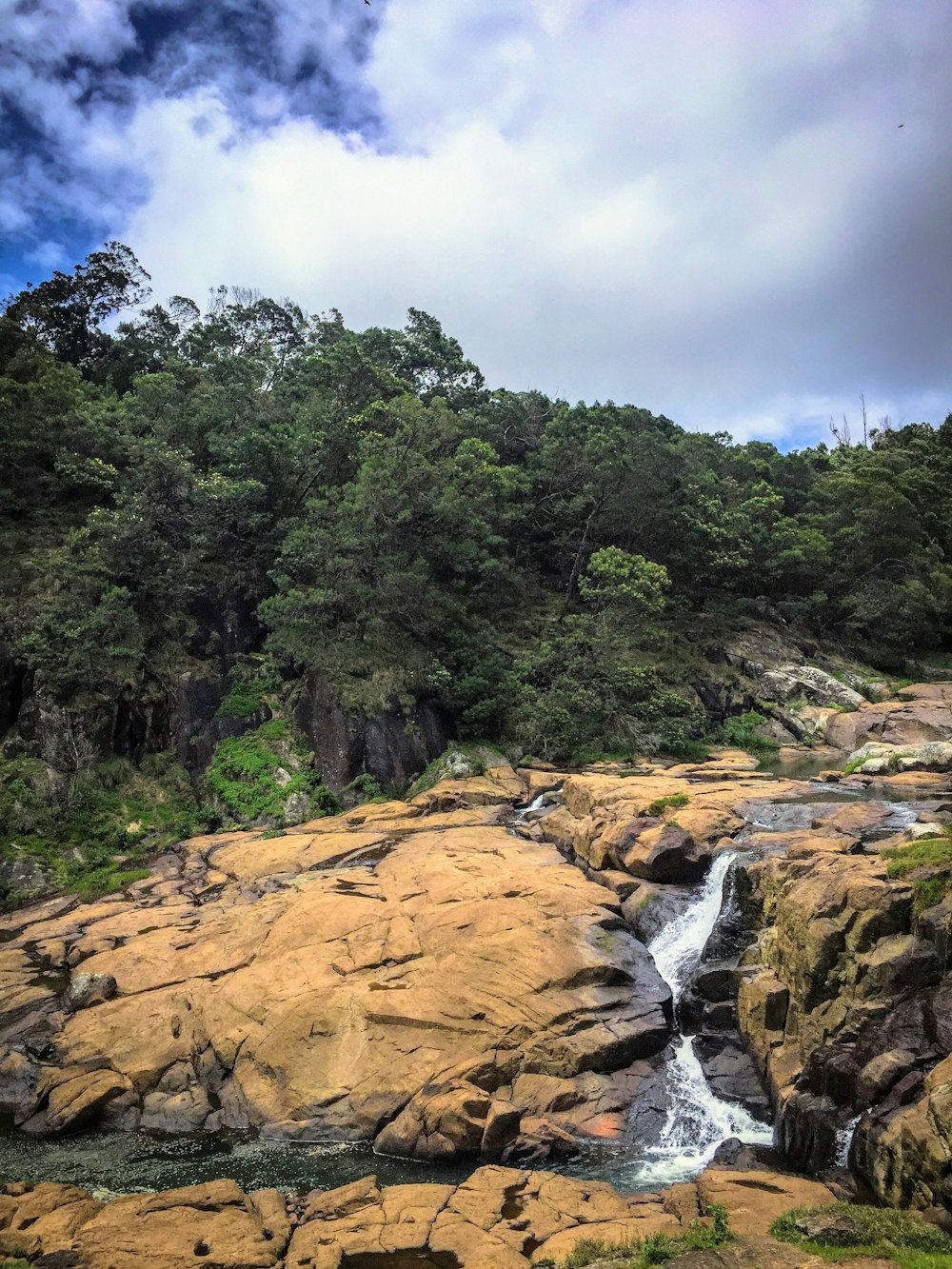 green trees on brown rocky mountain under blue sky during daytime