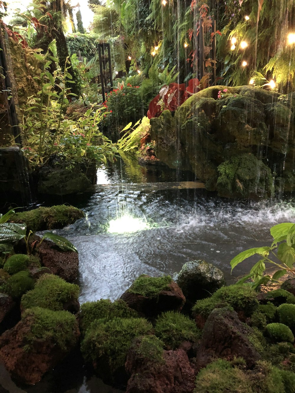 water falls in the middle of the woods