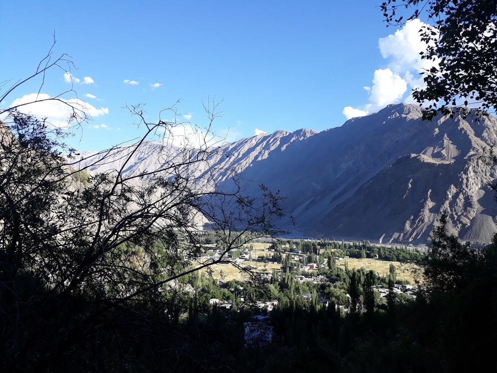 green trees and mountains under blue sky during daytime