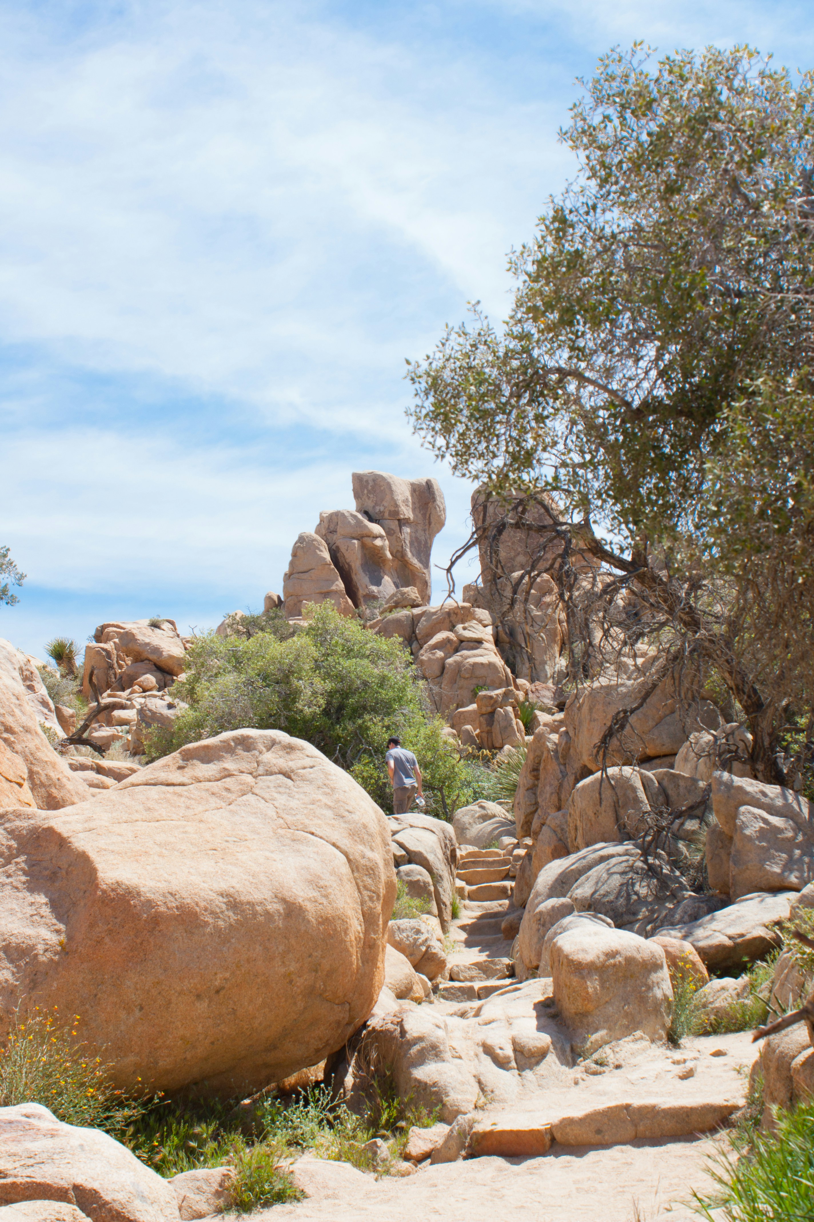 Photo by lydiakphotography