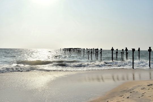 people on beach during daytime in Alleppey India