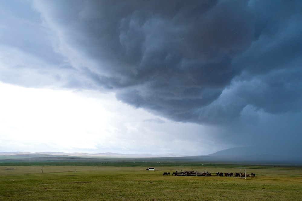 green grass field under cloudy sky during daytime