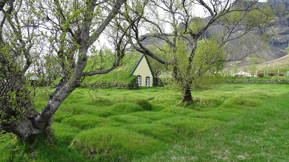 casa de madeira branca e preta no campo verde da grama