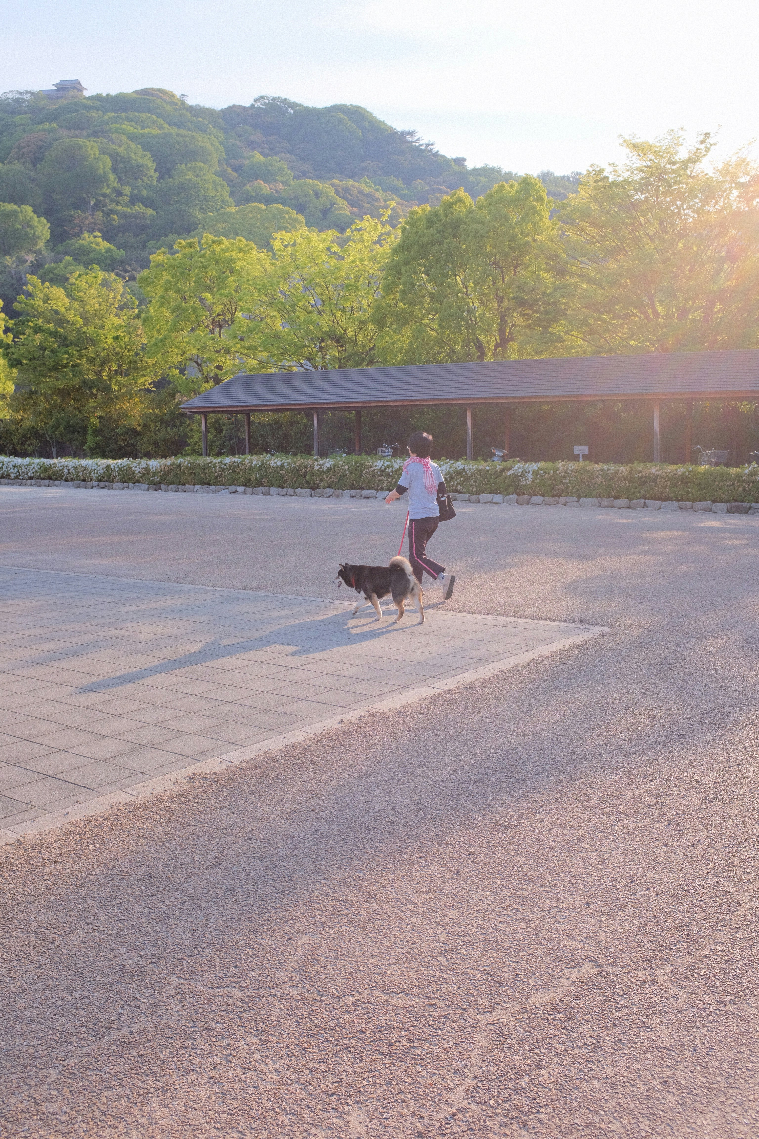 man in white shirt and black pants walking with black dog on sidewalk during daytime
