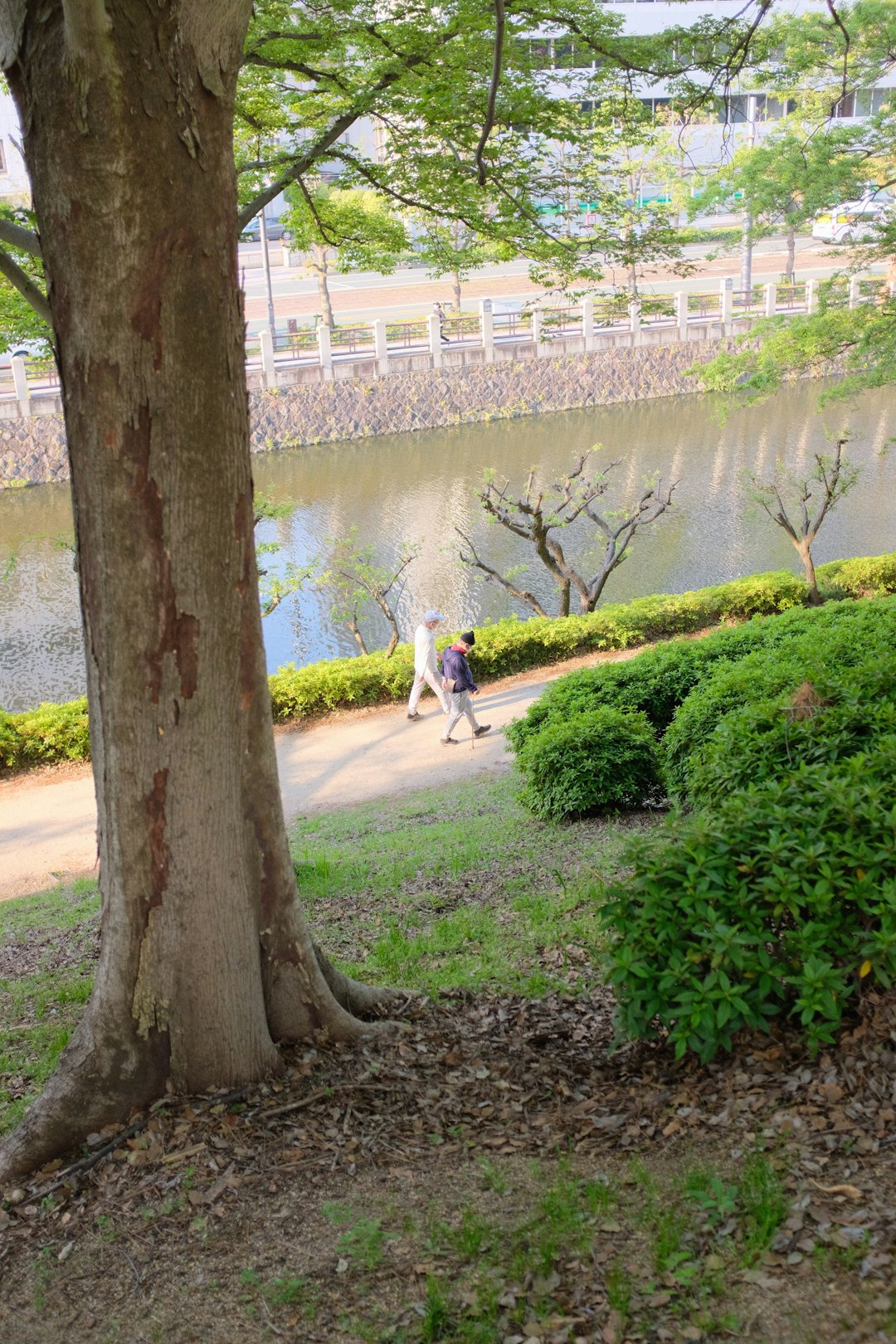 man in white shirt and black pants walking on pathway near body of water during daytime