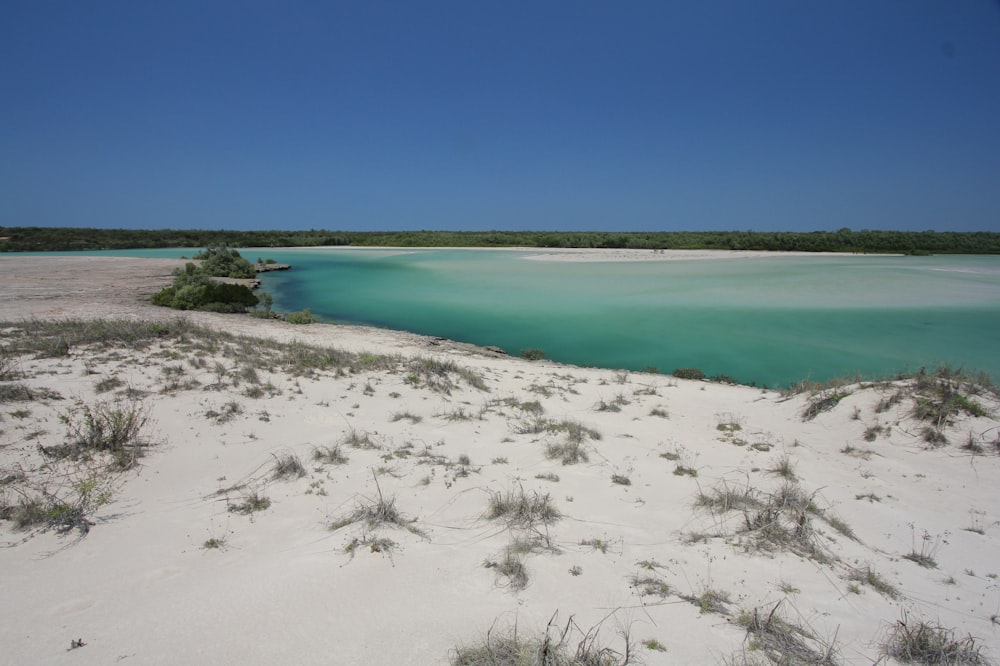 white sand near body of water during daytime