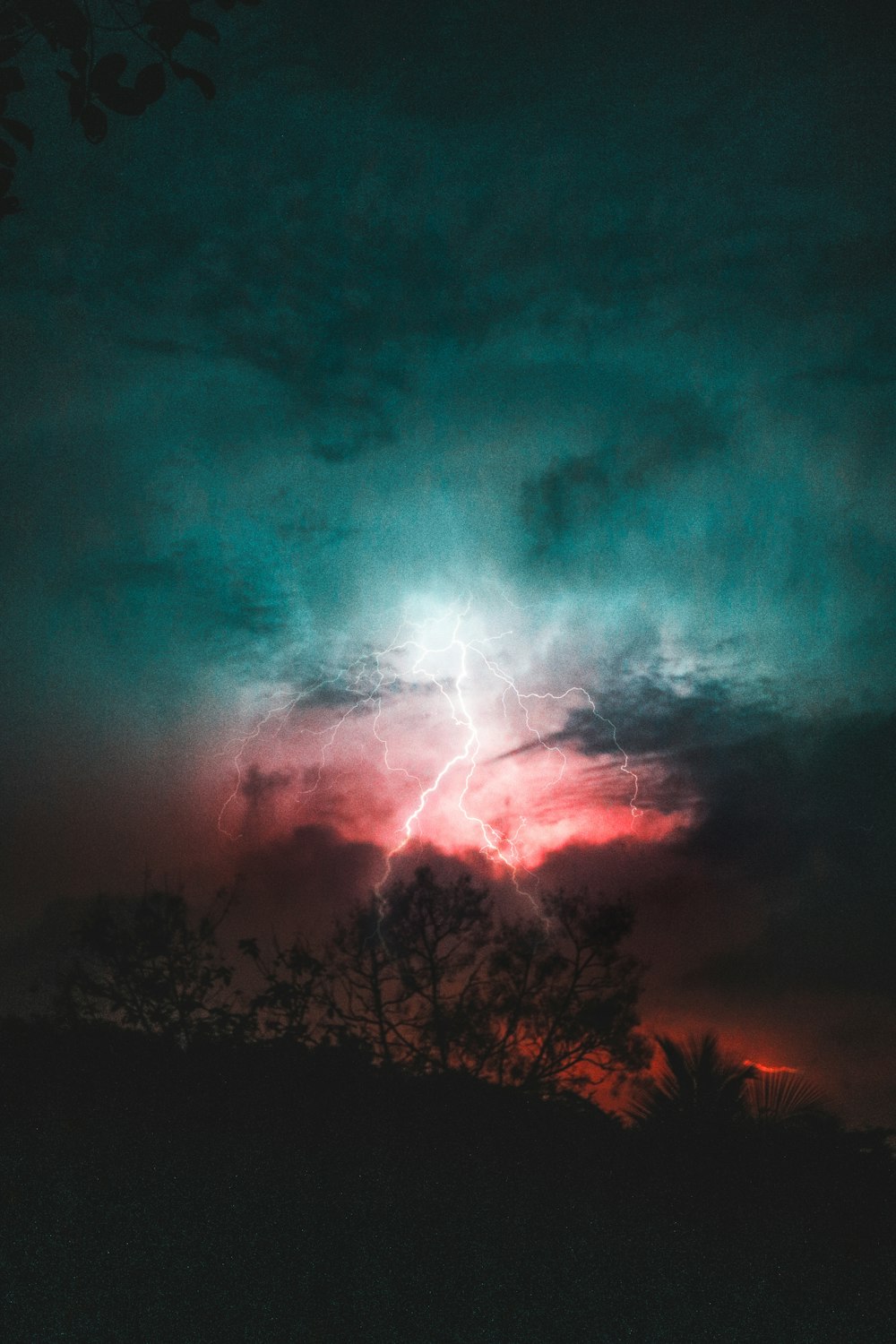 silhouette of trees under cloudy sky