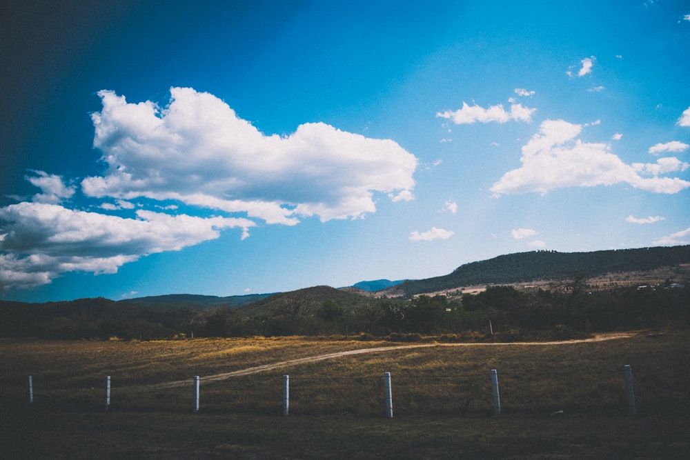 white metal fence on brown field under blue sky and white clouds during daytime