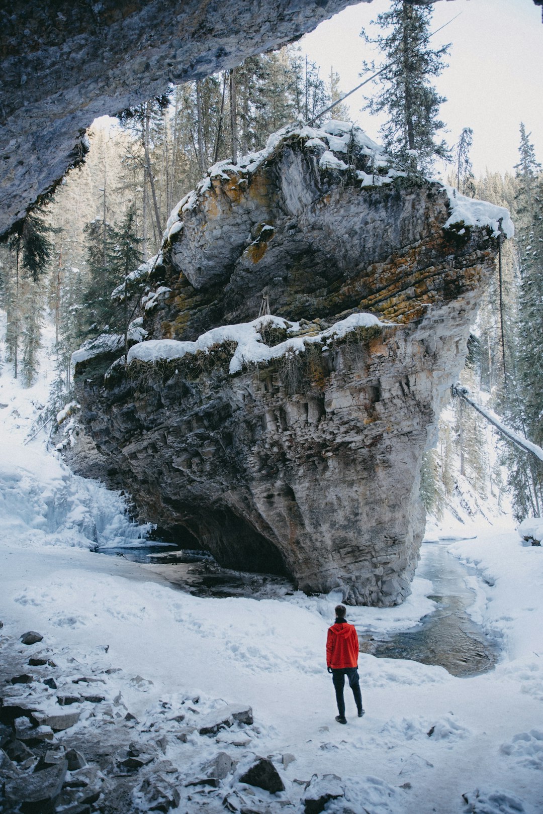 person in red jacket standing on snow covered ground during daytime