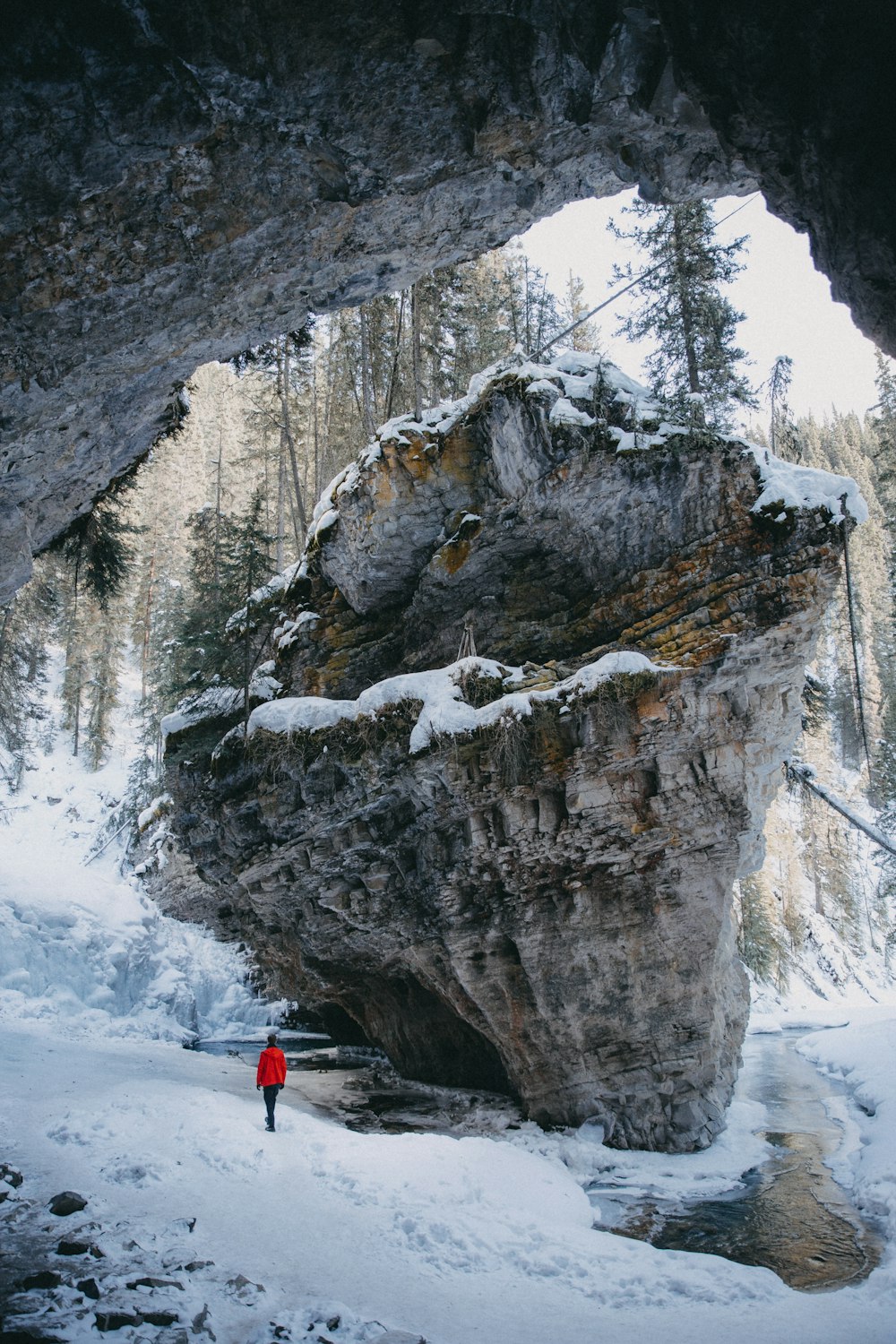 person in red jacket and black pants standing on snow covered ground near gray rocky mountain