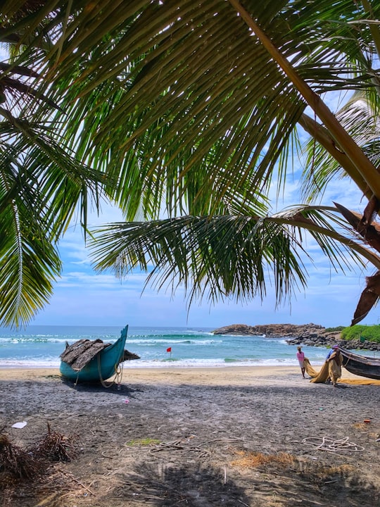 green coconut tree on beach during daytime in Thiruvananthapuram India