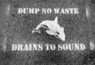 A stencil art of an orca is painted on asphalt, surrounded by the words 'DUMP NO WASTE' at the top and 'DRAINS TO SOUND' at the bottom. The entire design is in white against a textured, dark pavement background.