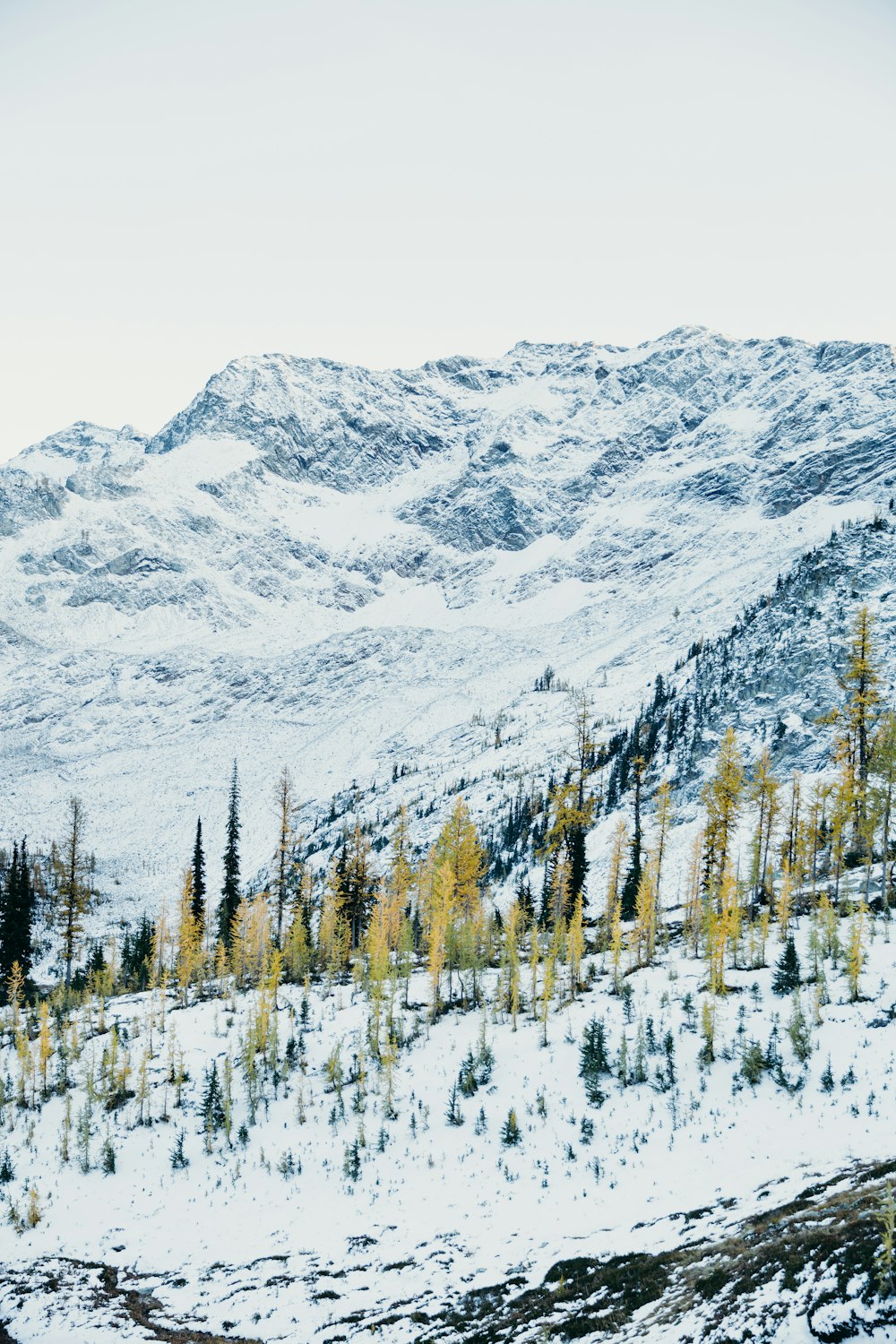 snow covered mountain during daytime