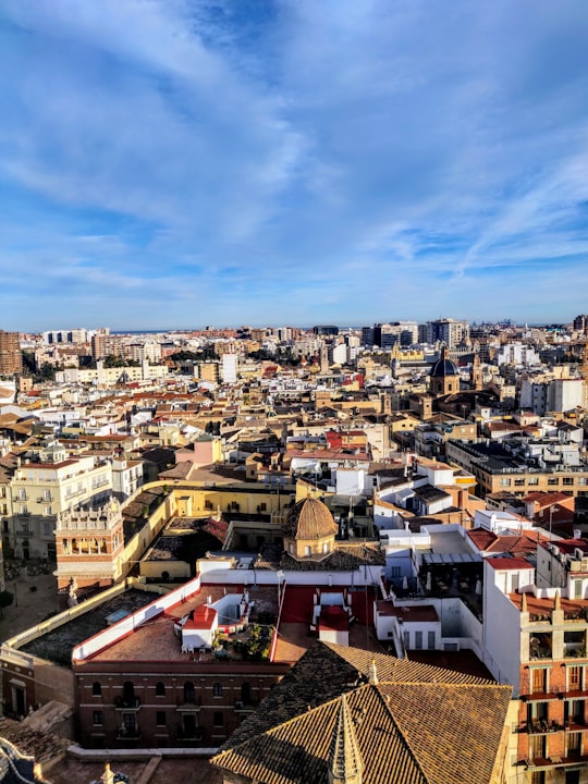 aerial view of city buildings during daytime in Valencia Cathedral Spain