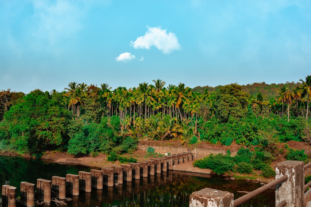 Nature reserve photo spot Goa India