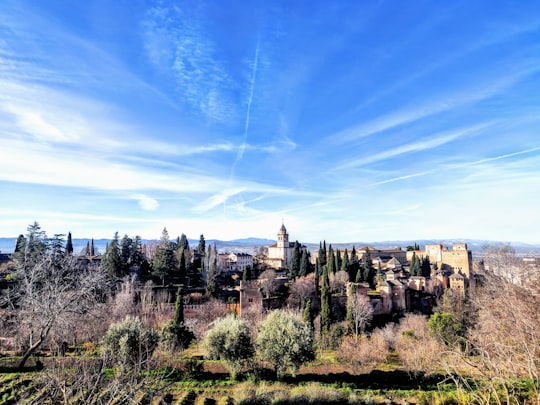 Partal Garden things to do in Calle de la Cruz