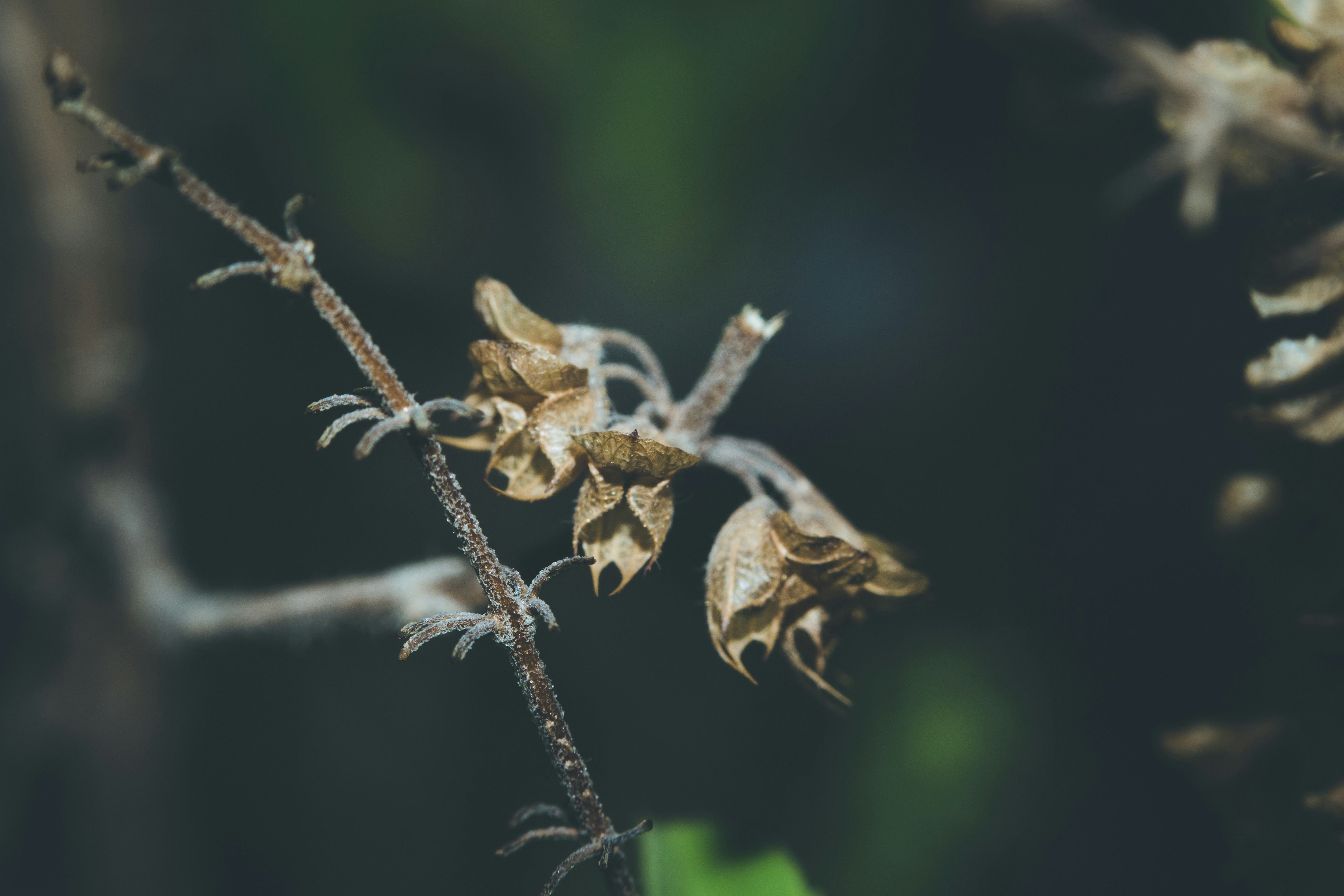 Photo by wildandbeyondbyvivek