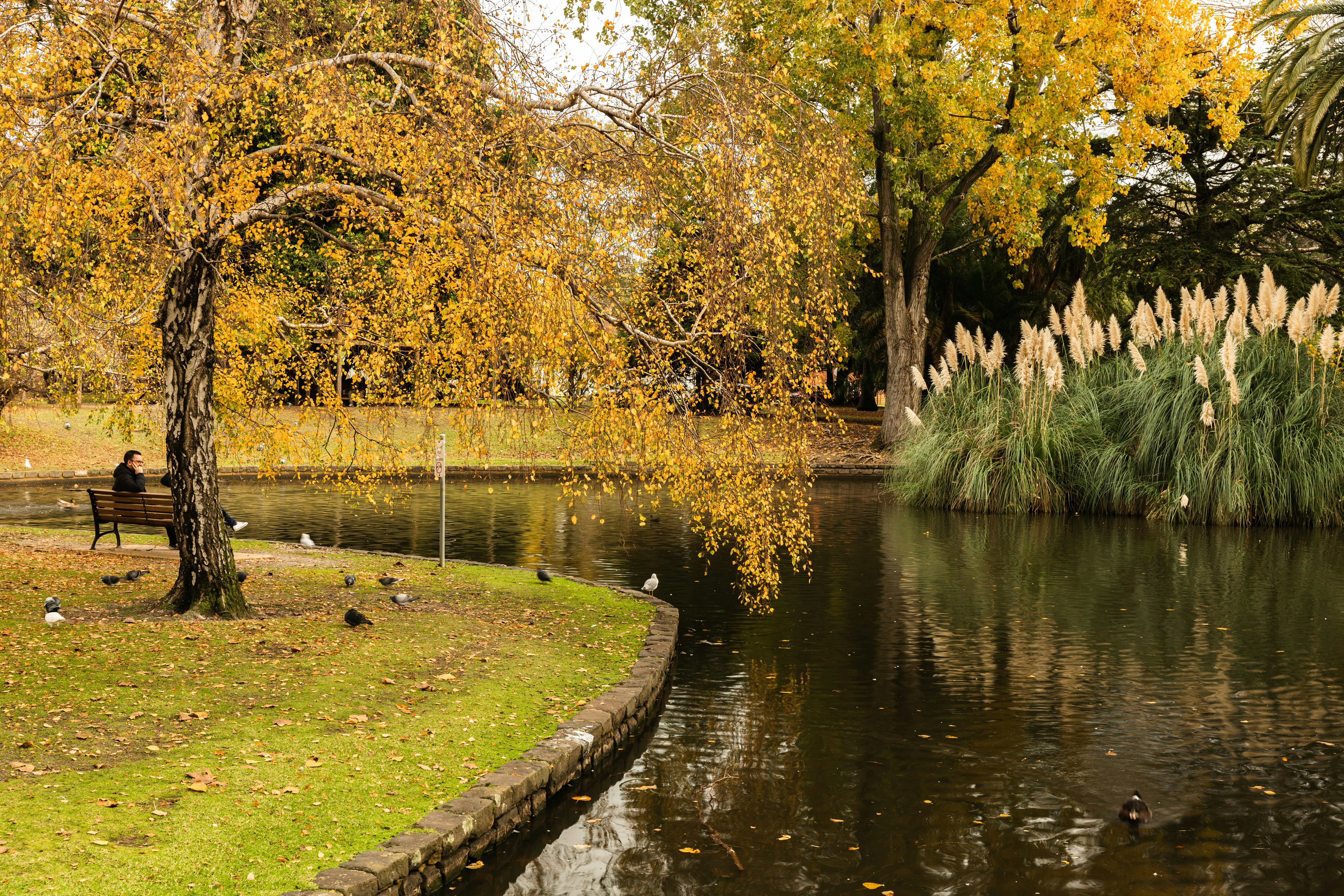 Image by Mitchell Luo via Unsplash