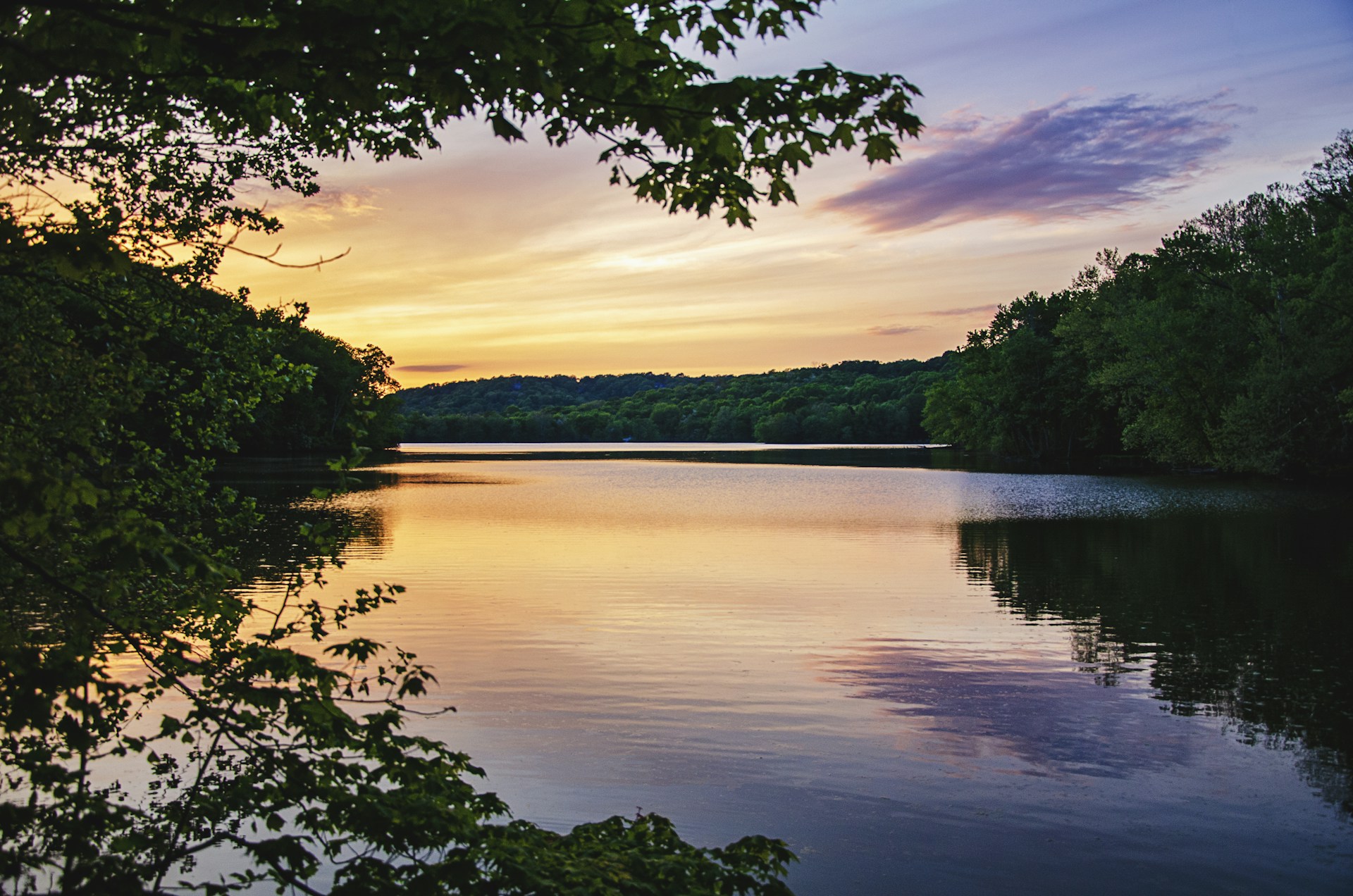 A tranquil view of lush green trees reflecting in calm backwaters at sunset.