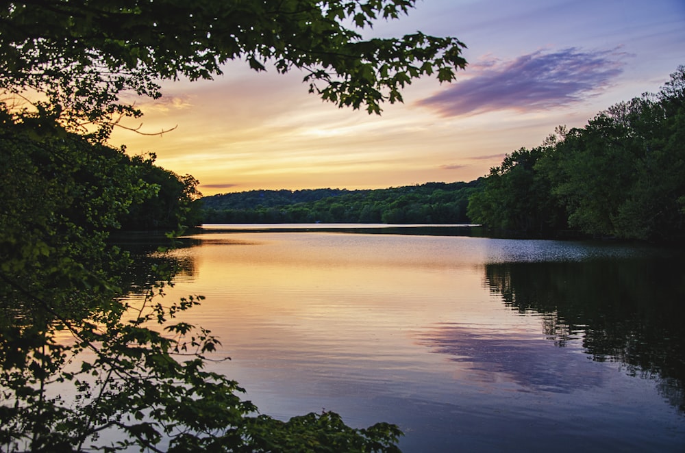 body of water near green trees during sunset