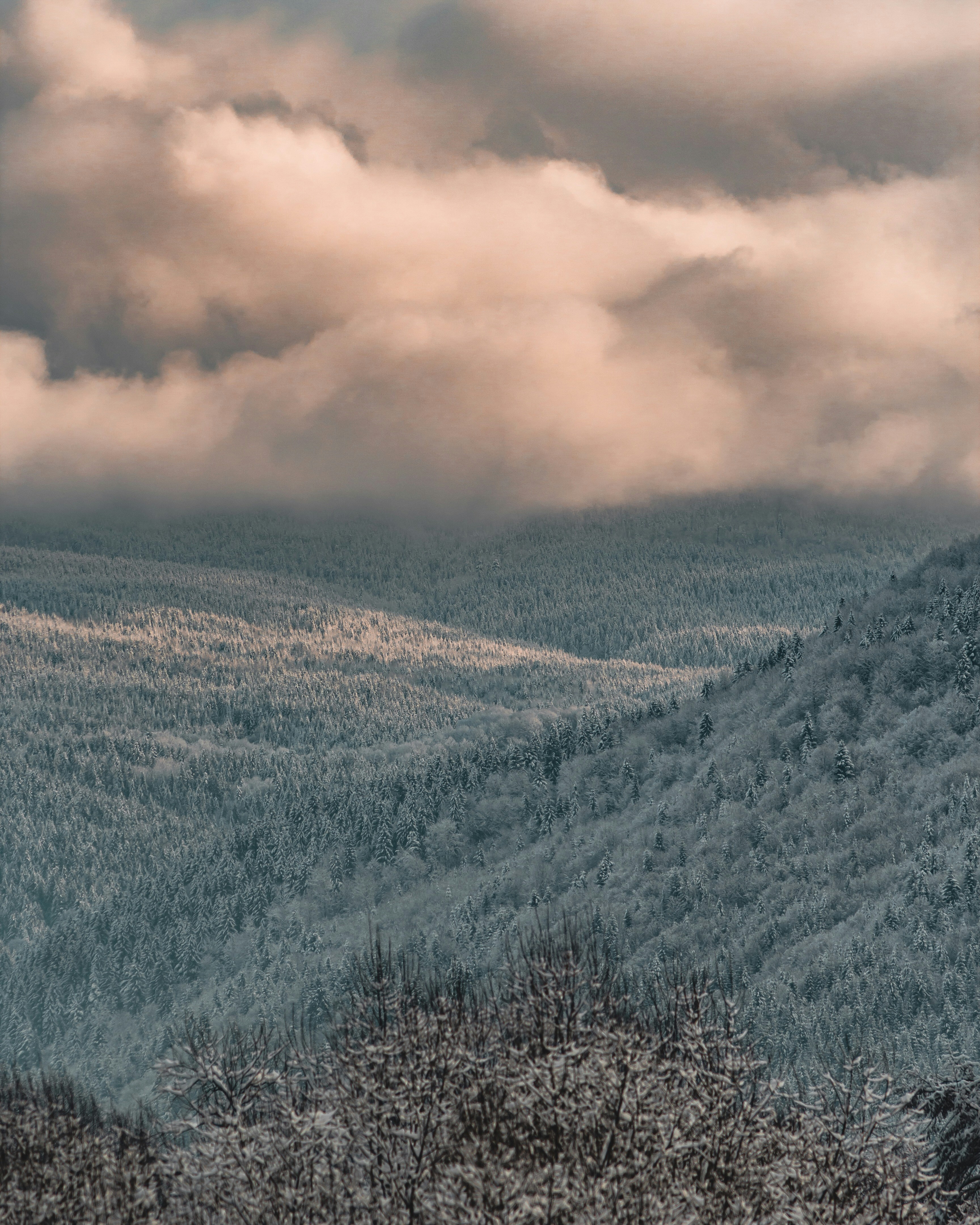 Photo by sttefunn