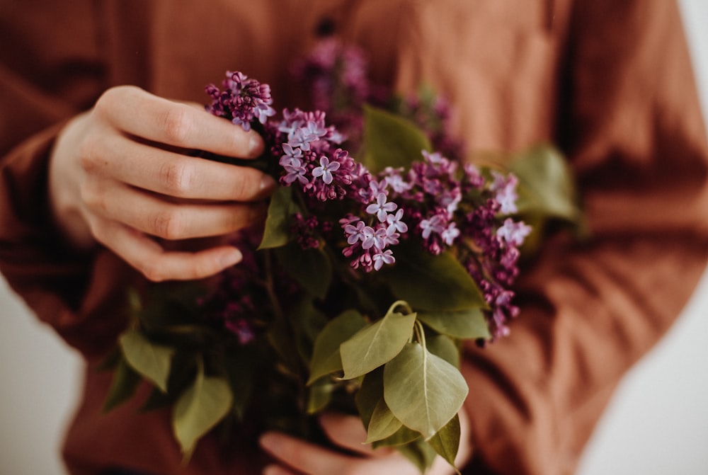Persona che tiene il fiore viola nella fotografia ravvicinata