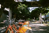 A row of orange and yellow rental bicycles is parked along a sunlit pathway lined with tall leafy trees. The shadows and light create a dappled pattern on the ground, and the area appears to be in an urban setting with buildings partially visible in the background.