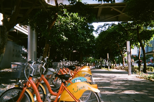 A row of orange and yellow rental bicycles is parked along a sunlit pathway lined with tall leafy trees. The shadows and light create a dappled pattern on the ground, and the area appears to be in an urban setting with buildings partially visible in the background.