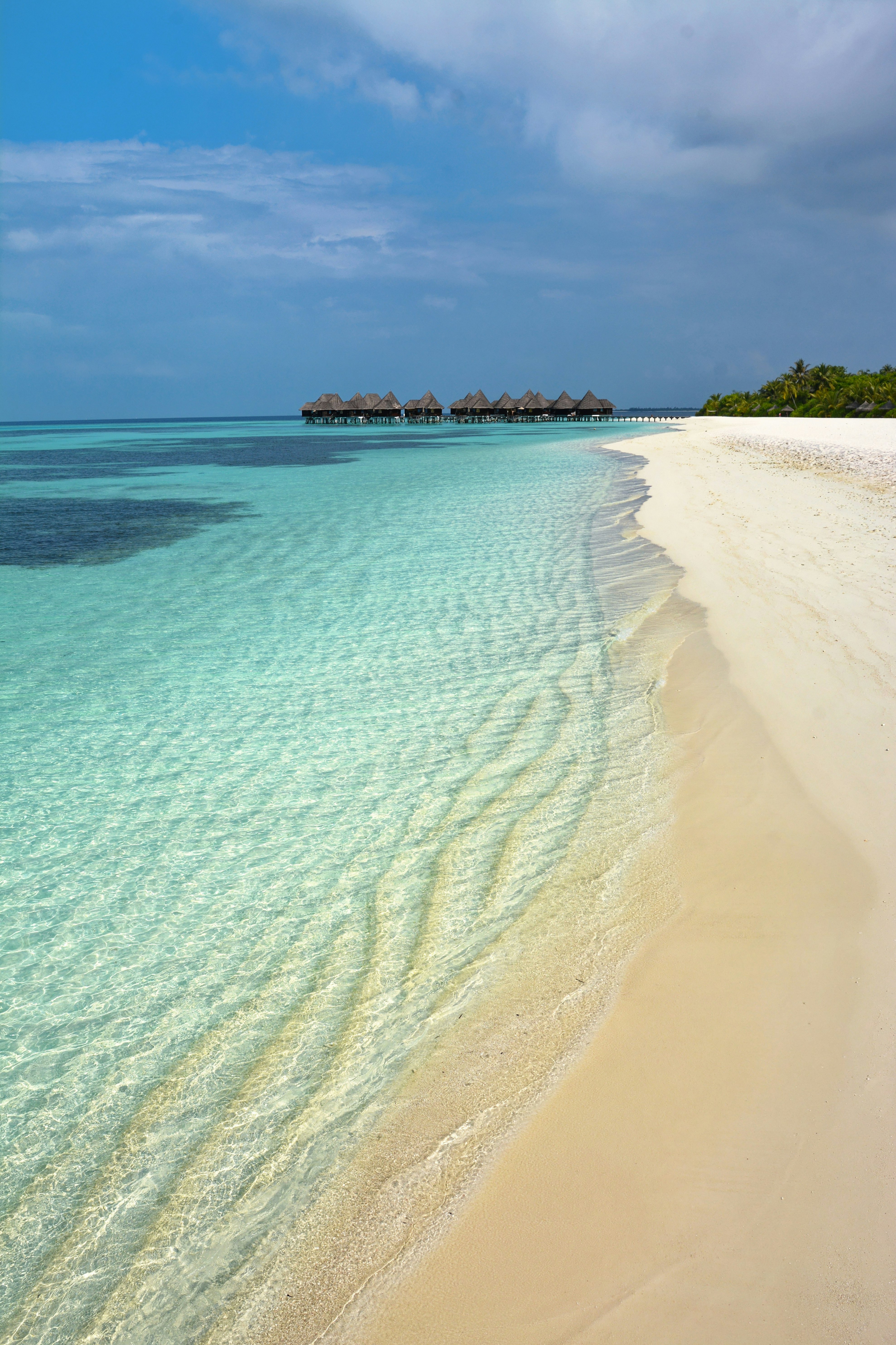 white sand beach during daytime