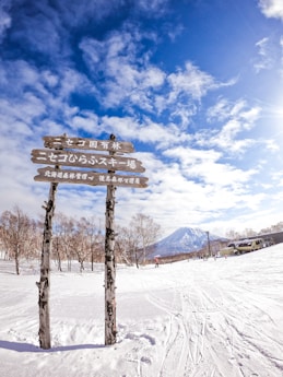 brown wooden bench on snow covered ground under blue and white cloudy sky during daytime