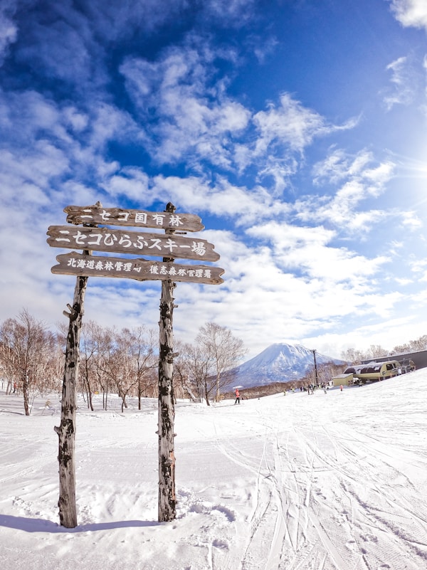Best Time to Visit Niseko: Weather, Seasons, and Months