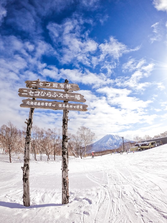 brown wooden bench on snow covered ground under blue and white cloudy sky during daytime in Niseko Japan
