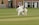 A cricket match is taking place on a grassy field. A batsman is wearing protective gear, including a helmet, gloves, and pads, and is attempting to hit the ball. Two fielders, one in wicketkeeper gear, are positioned behind the stumps, watching the ball closely. Residential buildings are seen in the background.