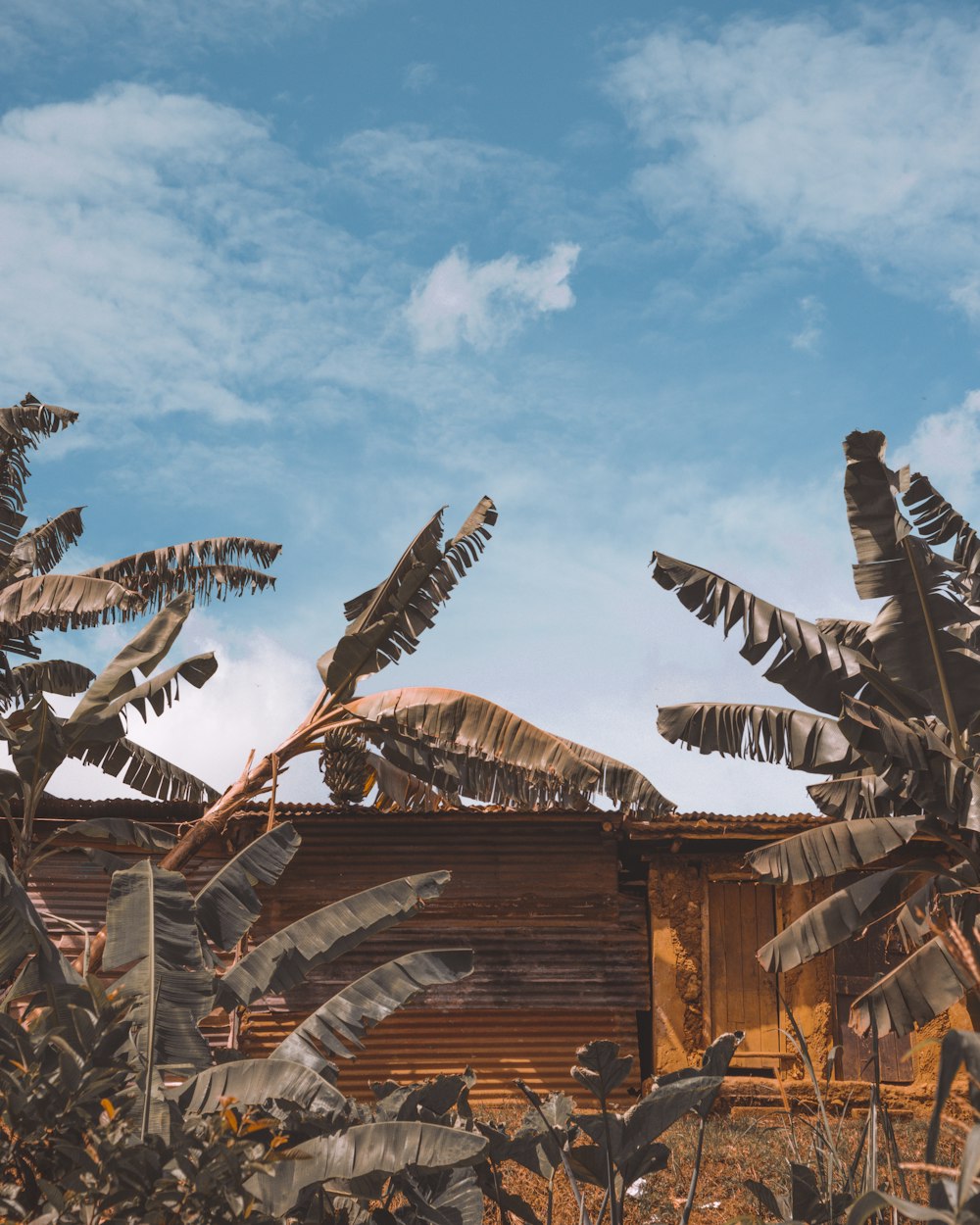 brown wooden building with birds flying during daytime