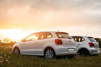 white bmw m 3 coupe on green grass field