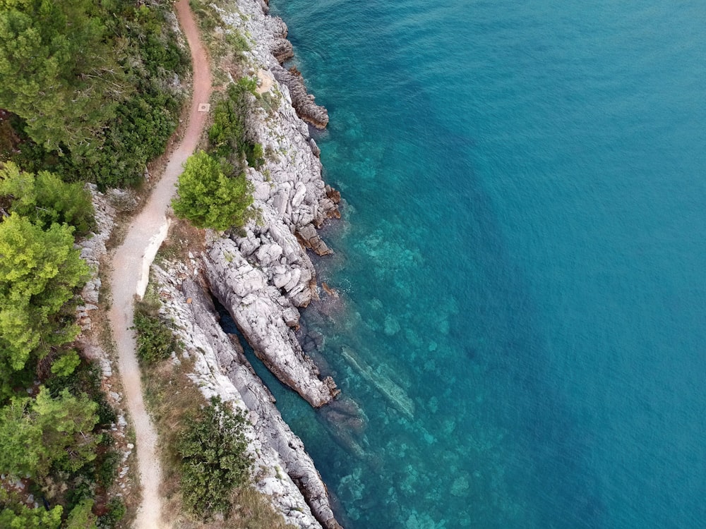 aerial view of green trees beside blue sea during daytime