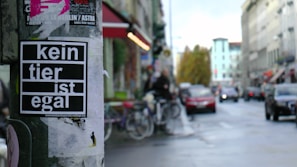 A street scene featuring a pole with several posters, one prominently displaying the phrase 'kein tier ist egal'. In the background, a street lined with buildings, parked bicycles, and several cars driving by. The scene appears to be urban and slightly blurred, suggesting motion or depth.