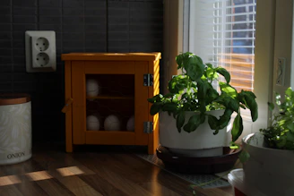 Application of safe, eco-friendly ant bait in a kitchen corner.