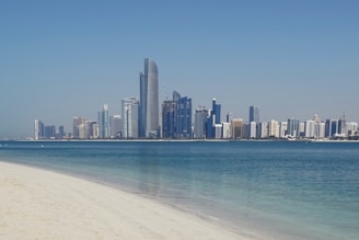 city skyline across the sea during daytime