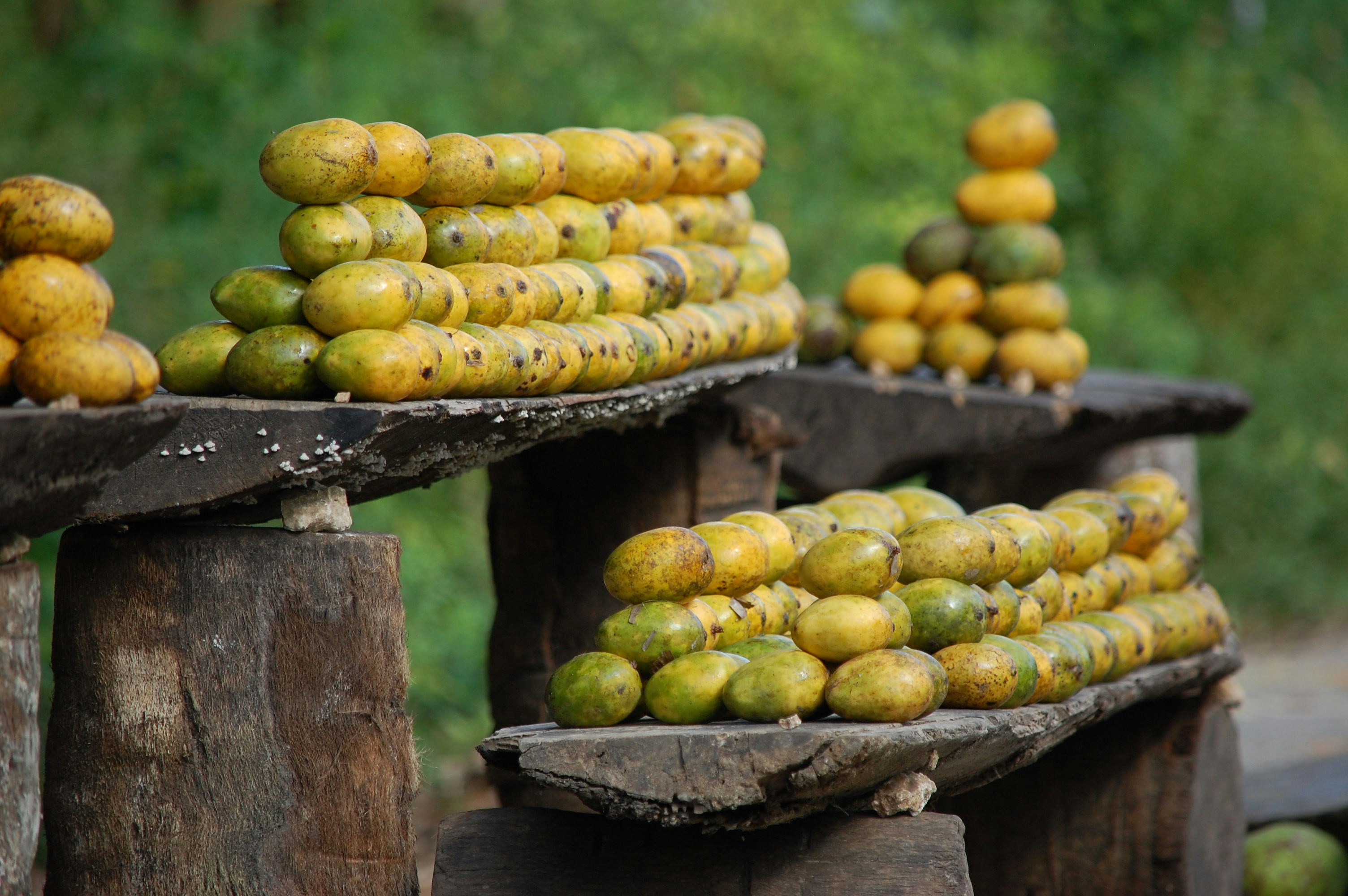 yellow and green fruits on brown wooden table, Zanzibar Mangos, Yellow Mangos, Tropical Fruits