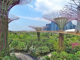 green trees and plants near building during daytime