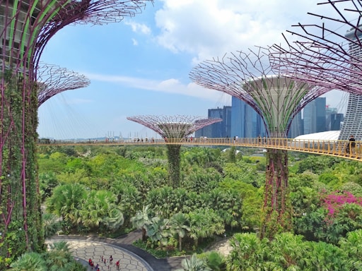 green trees and plants near building during daytime