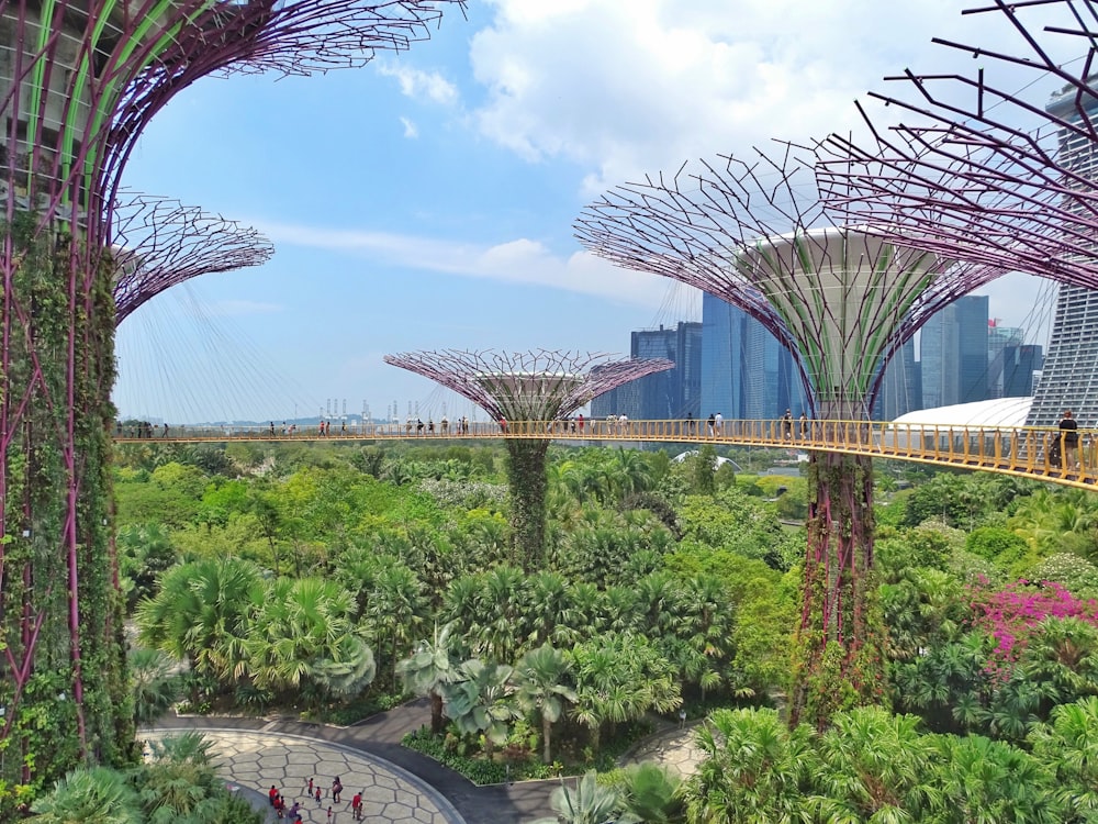 green trees and plants near building during daytime