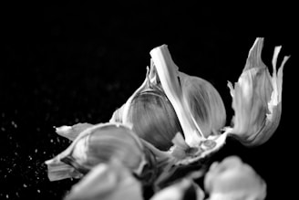 grayscale photo of flower bud